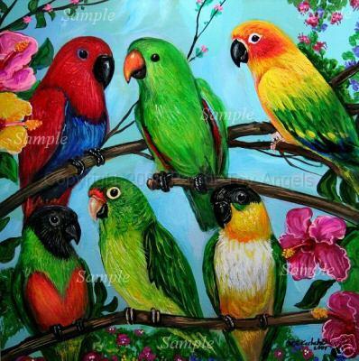 A grouping of 6.JPG - "A Grouping of 6 Parrots" Giclee